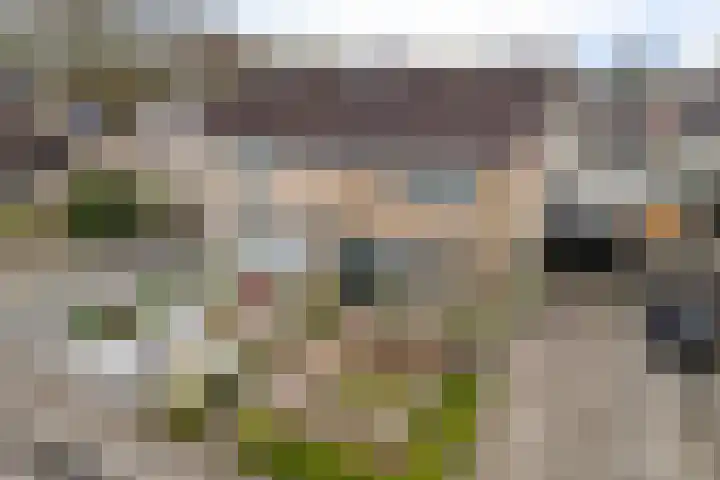 Dilakker 5 Aalden thumbnail 41
