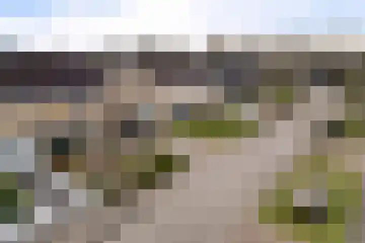 Dilakker 5 Aalden thumbnail 42