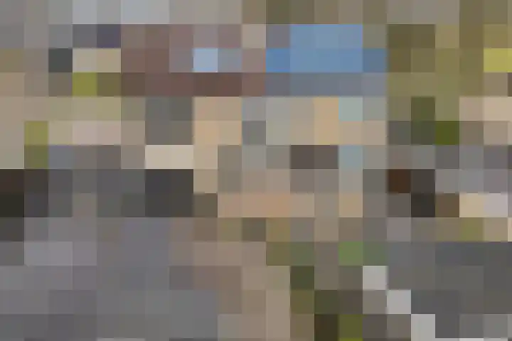 Dilakker 5 Aalden thumbnail 43