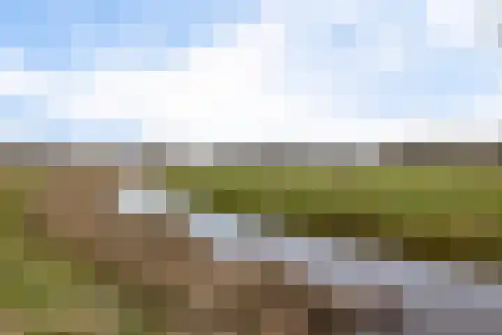 Dilakker 5 Aalden thumbnail 44