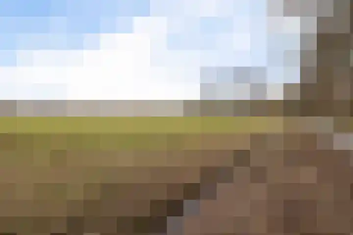 Dilakker 5 Aalden thumbnail 45