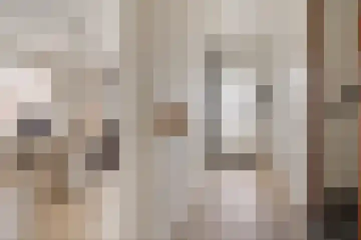 Dilakker 5 Aalden thumbnail 8