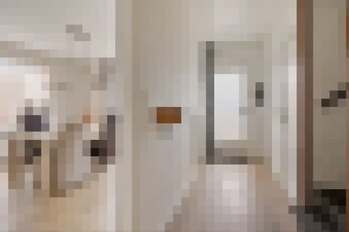 Dilakker 5 Aalden thumbnail 8