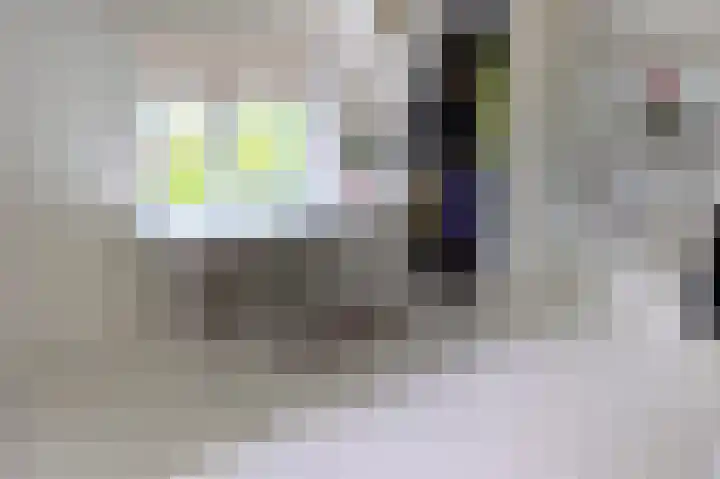 Dilgtweg 2 Haren Gn thumbnail 54