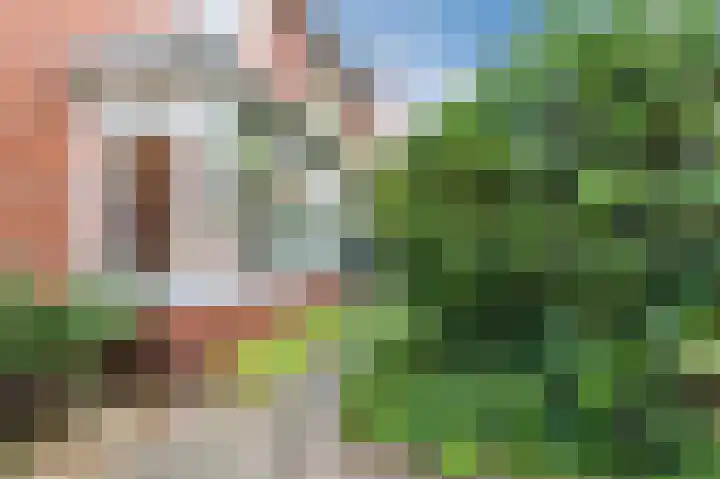 Dilgtweg 2 Haren Gn thumbnail 56