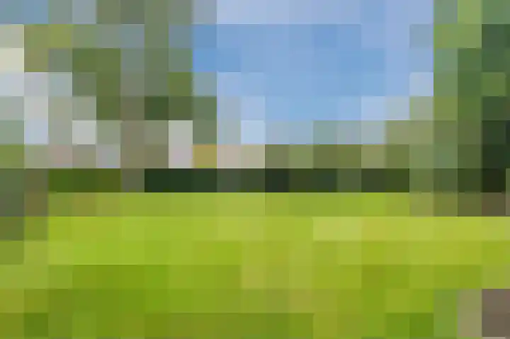 Dilgtweg 2 Haren Gn thumbnail 57