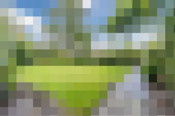 Dilgtweg 2 Haren Gn thumbnail 66