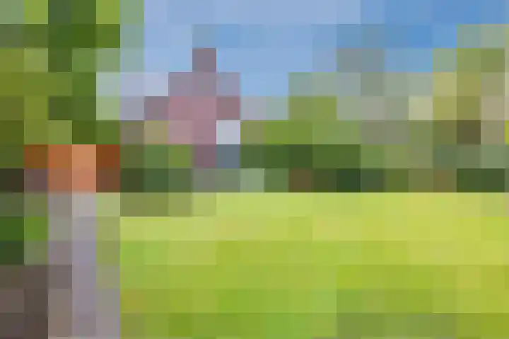 Dilgtweg 2 Haren Gn thumbnail 67