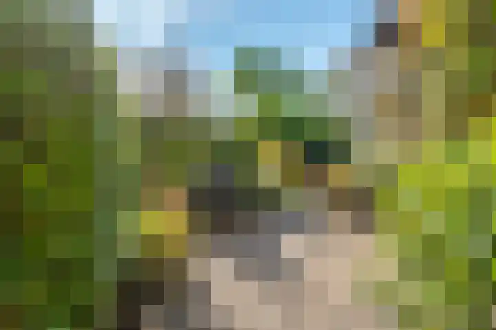 Dilgtweg 4 Haren Gn thumbnail 12