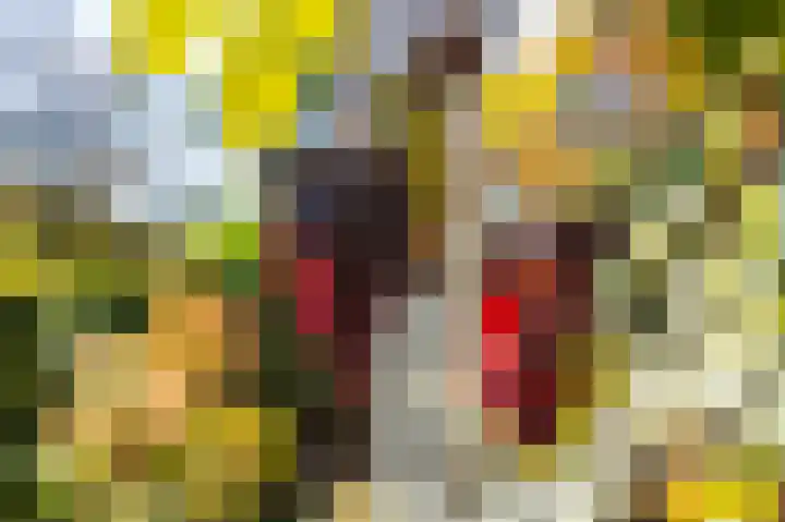 Dilgtweg 4 Haren Gn thumbnail 13