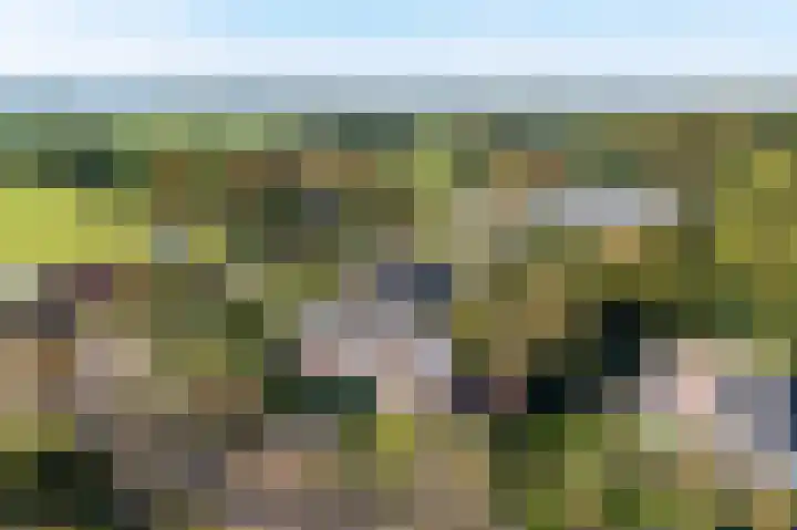 Dilgtweg 4 Haren Gn thumbnail 4