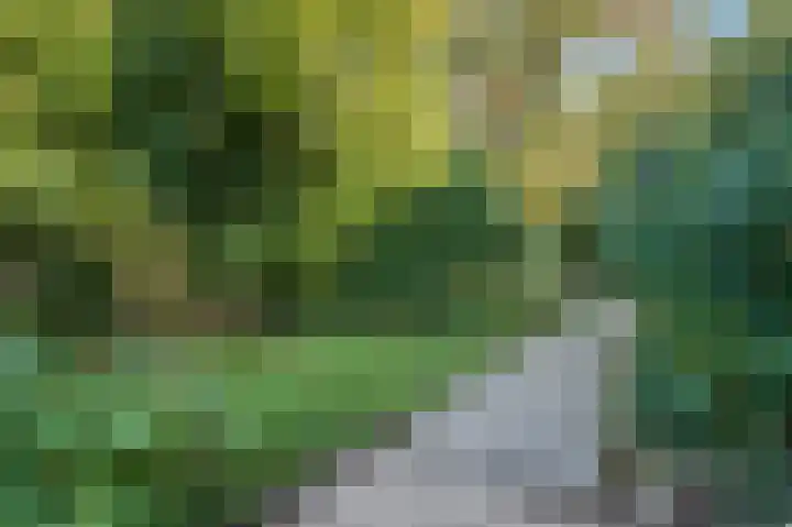 Dilgtweg 4 Haren Gn thumbnail 51