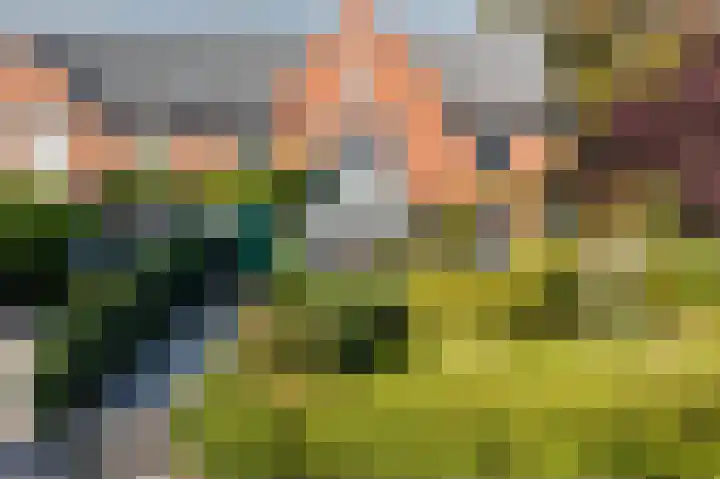 Dilgtweg 4 Haren Gn thumbnail 54