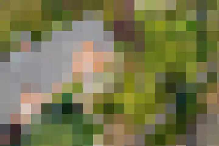 Dilgtweg 4 Haren Gn thumbnail 55