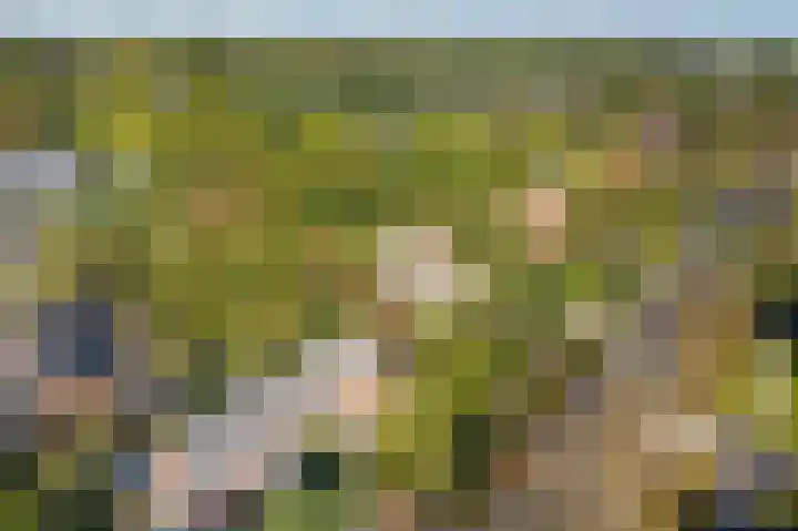 Dilgtweg 4 Haren Gn thumbnail 57