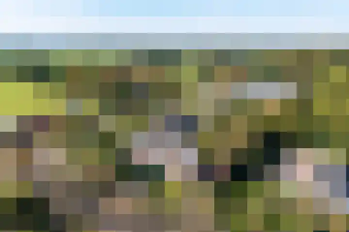 Dilgtweg 4 Haren Gn thumbnail 58