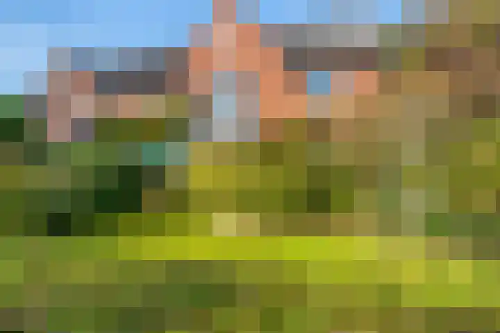 Dilgtweg 4 Haren Gn thumbnail 8