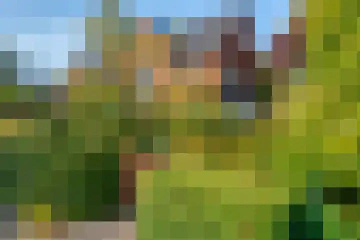 Dilgtweg 4 Haren Gn thumbnail 9