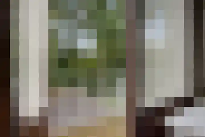 Diligencelaan 8 Leek thumbnail 19