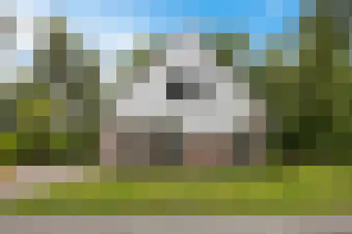 Diligencelaan 8 Leek foto 2