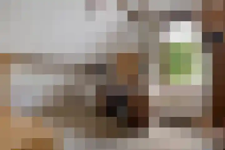 Diligencelaan 8 Leek thumbnail 20