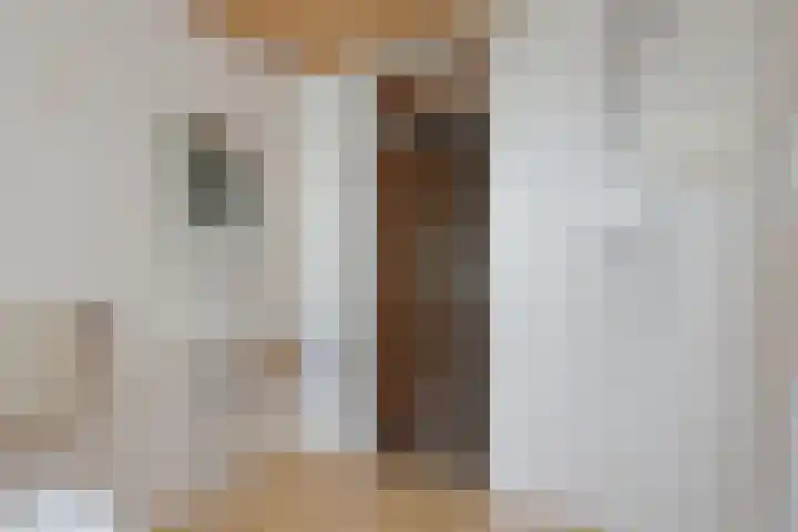 Diligencelaan 8 Leek thumbnail 22