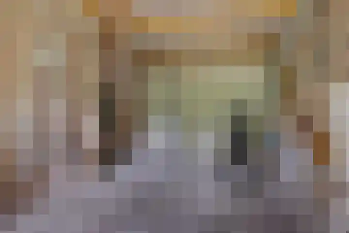 Diligencelaan 8 Leek thumbnail 28