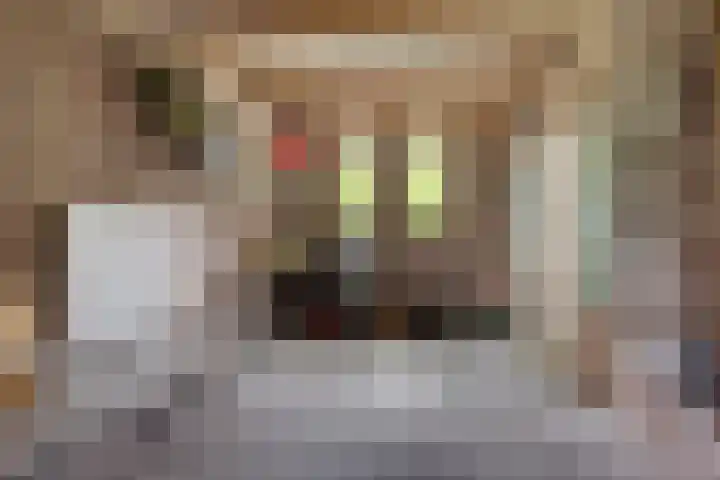 Diligencelaan 8 Leek thumbnail 29