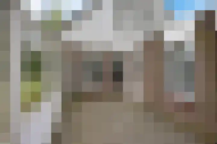 Diligencelaan 8 Leek thumbnail 30