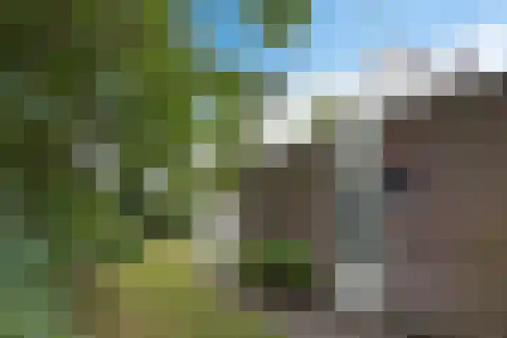 Diligencelaan 8 Leek thumbnail 32