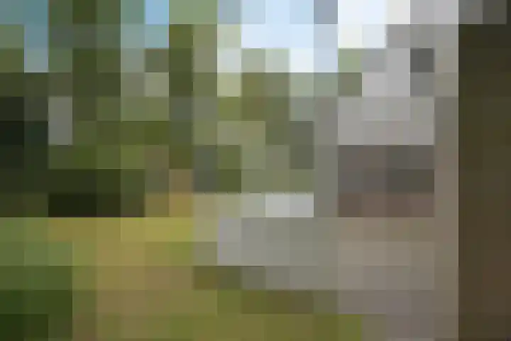 Diligencelaan 8 Leek thumbnail 33
