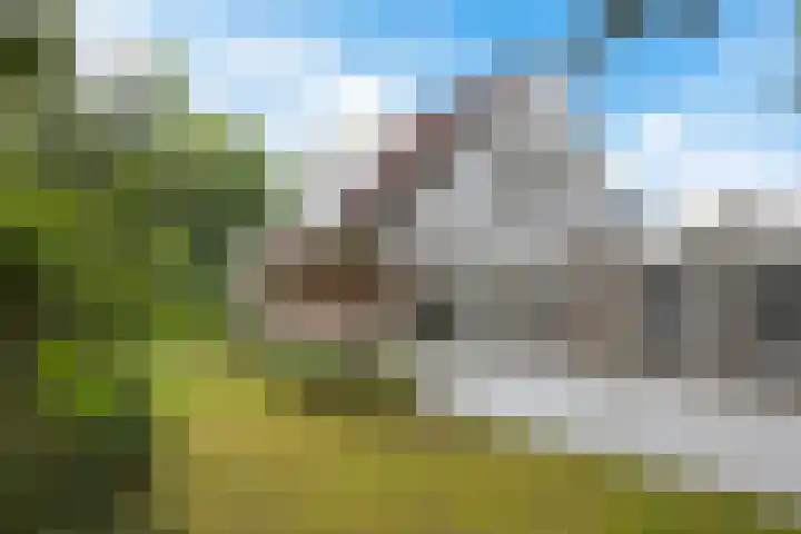 Diligencelaan 8 Leek thumbnail 34