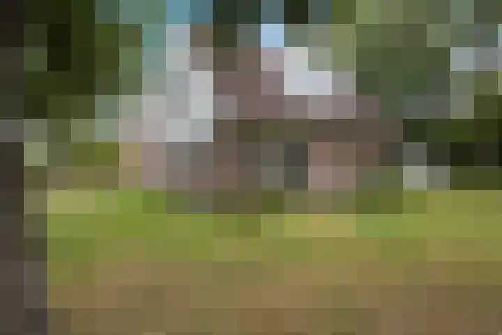 Diligencelaan 8 Leek thumbnail 35