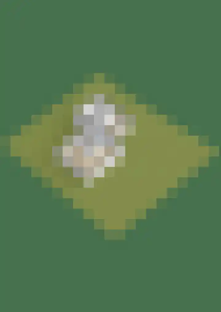 Diligencelaan 8 Leek thumbnail 42