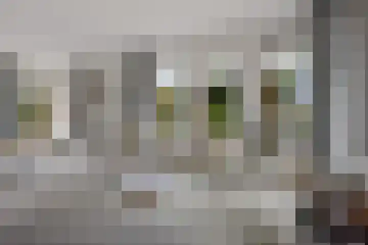 Diligencelaan 8 Leek thumbnail 8