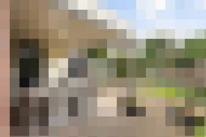 Dille 11 Nijverdal thumbnail 15
