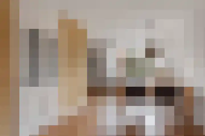 Dille 11 Nijverdal thumbnail 7