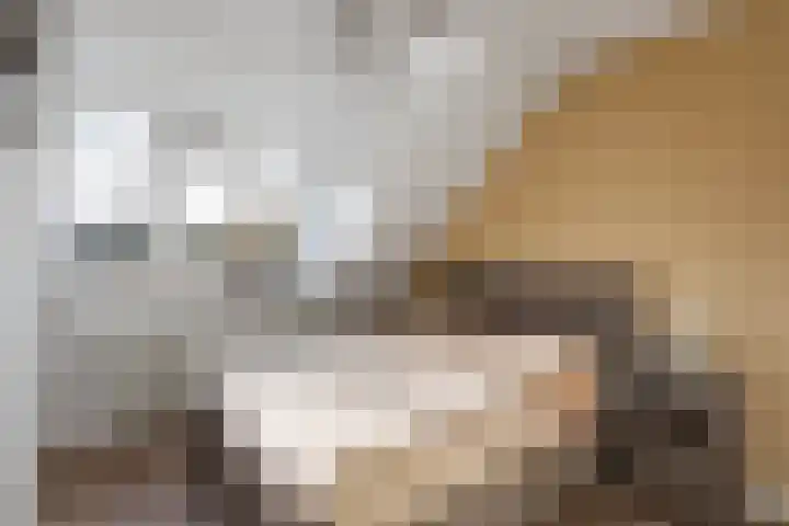 Dille 11 Nijverdal thumbnail 8