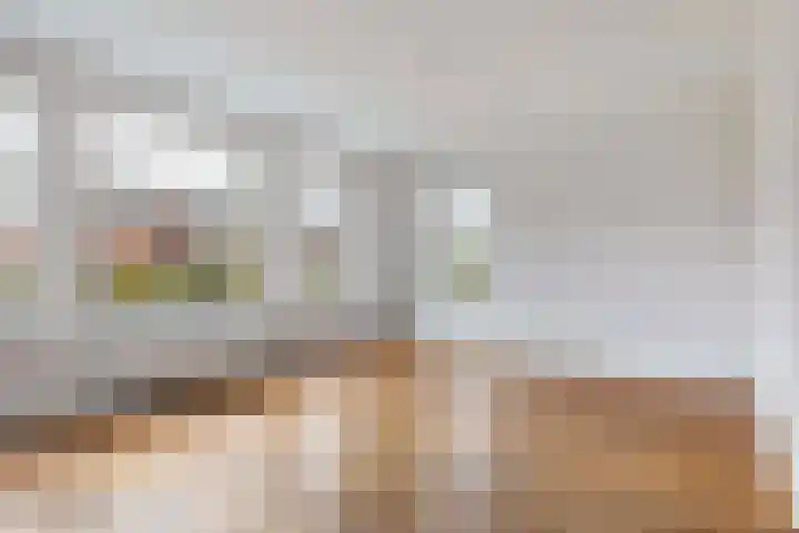 Dille 17 Hardenberg thumbnail 10
