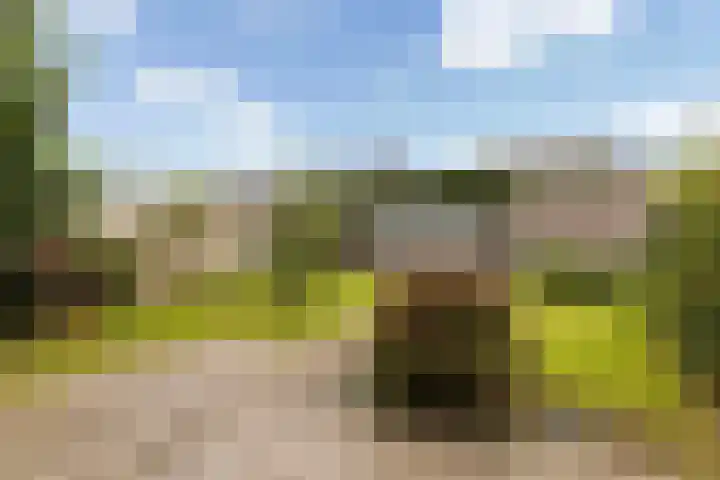 Dille 17 Hardenberg thumbnail 15