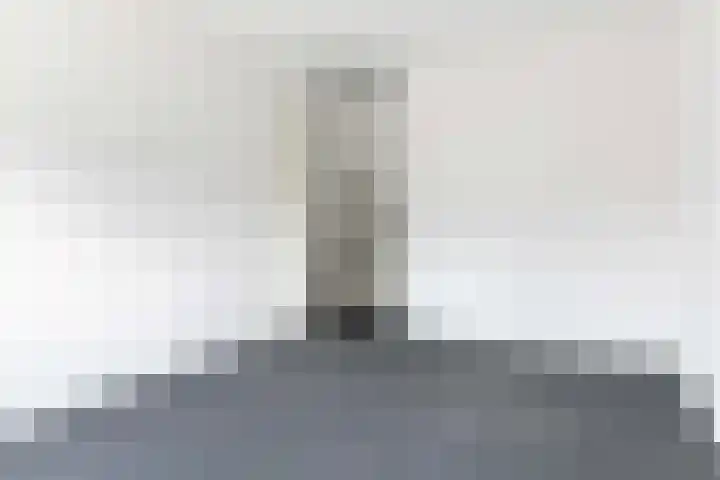 Dille 17 Hardenberg thumbnail 23