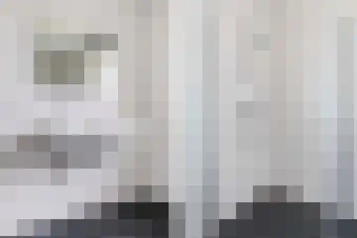 Dille 17 Hardenberg thumbnail 27