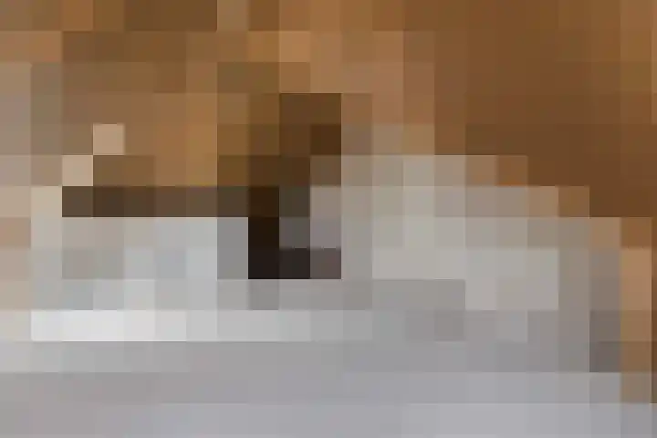Dille 17 Hardenberg thumbnail 30