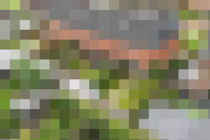 Dille 17 Hardenberg thumbnail 35