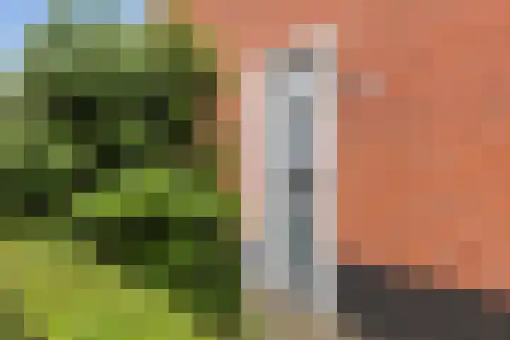 Dille 17 Hardenberg thumbnail 4