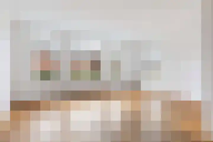Dille 17 Hardenberg thumbnail 9