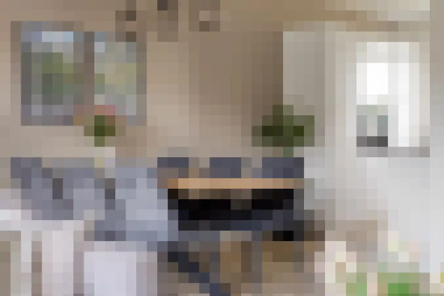 Dille 18 Asten thumbnail 10