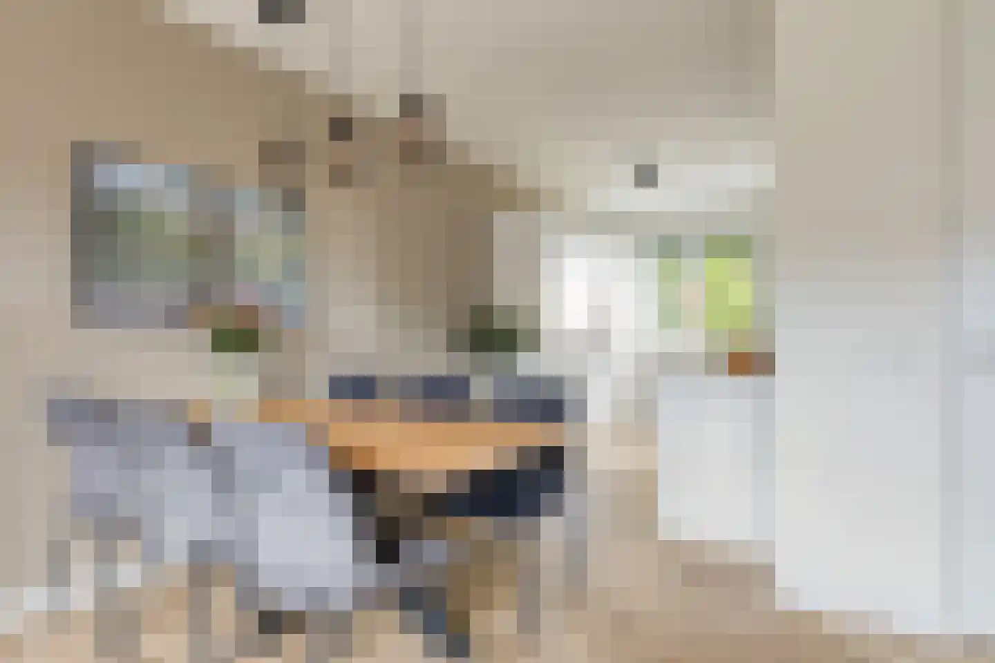 Dille 18 Asten thumbnail 11