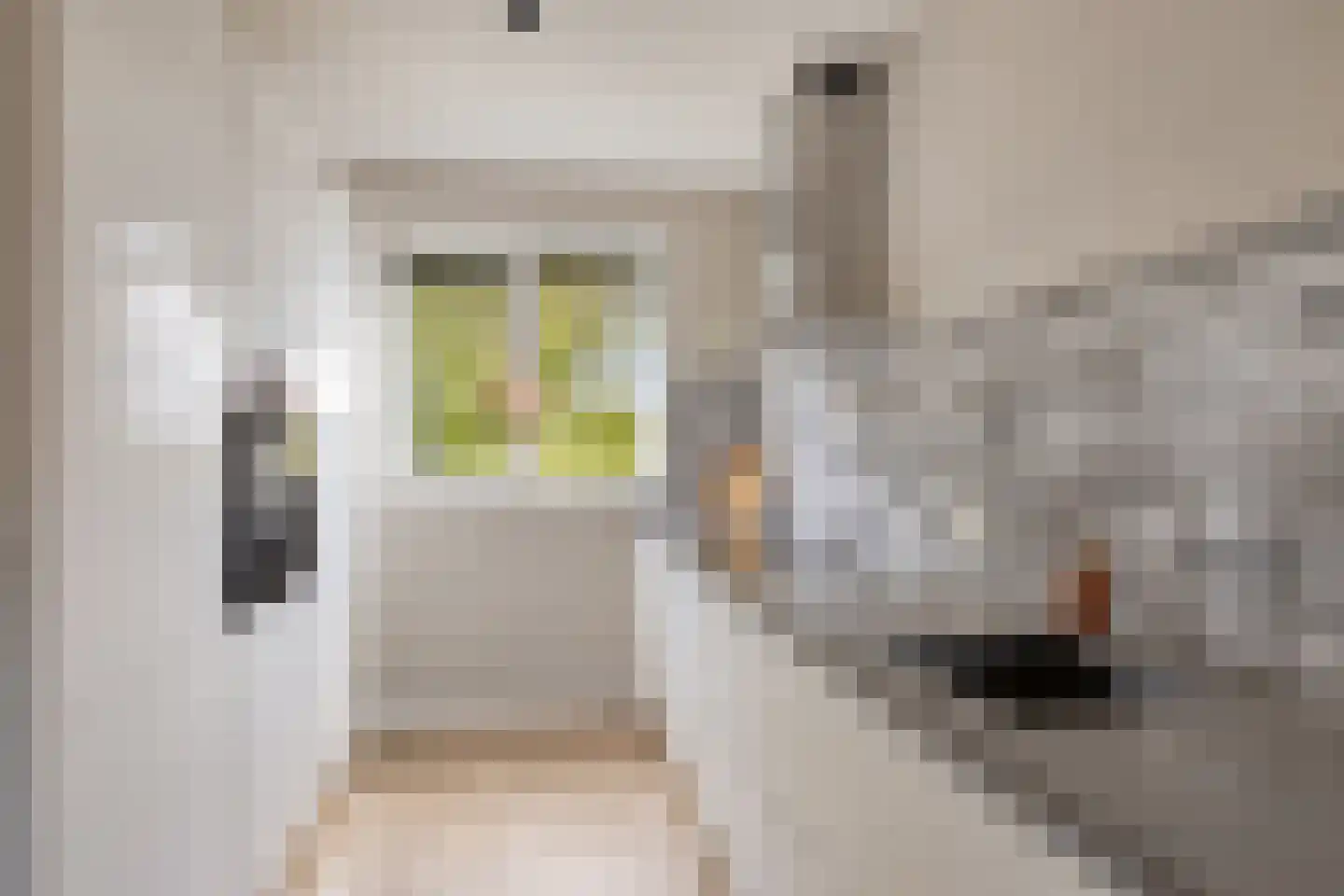 Dille 18 Asten thumbnail 15