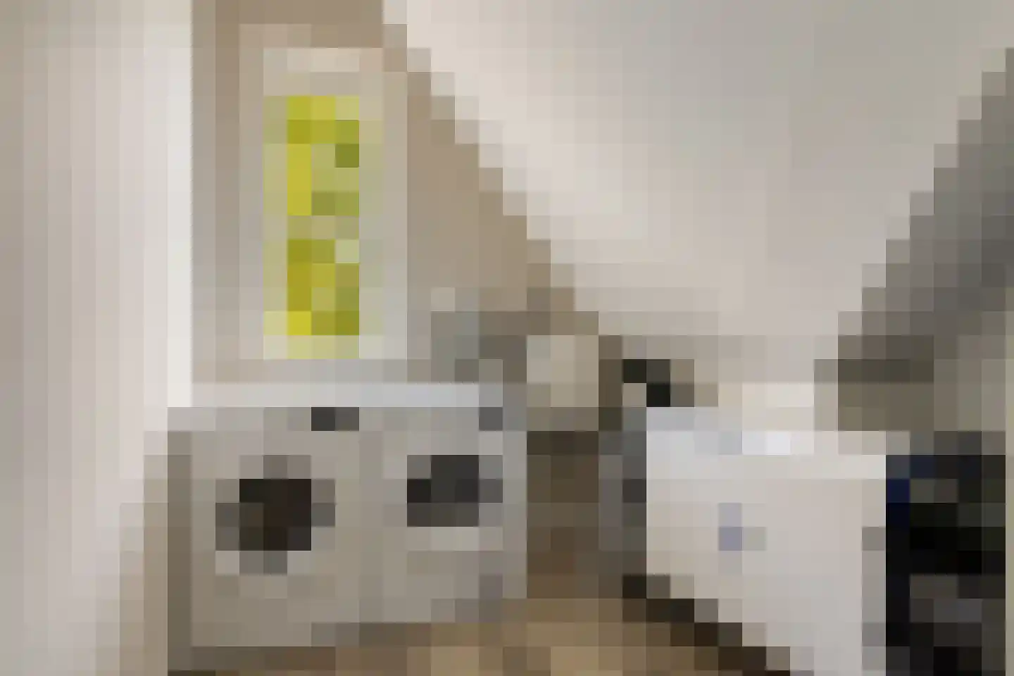 Dille 18 Asten thumbnail 31